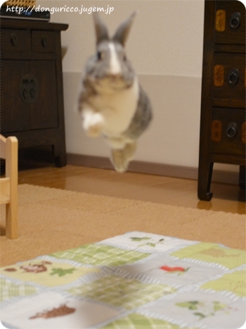 20140716-2.JPG