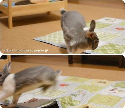 20140716-3.jpg