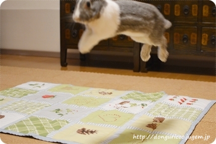 20140716-4.JPG