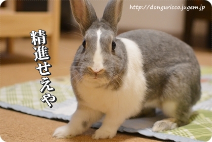 20140716-6.JPG