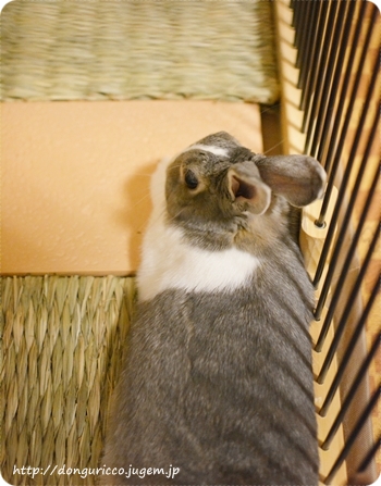 20140801-3.JPG