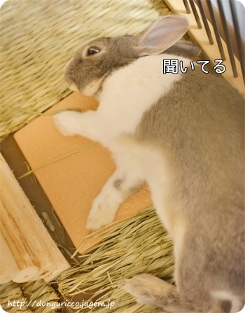 20140801-4.JPG