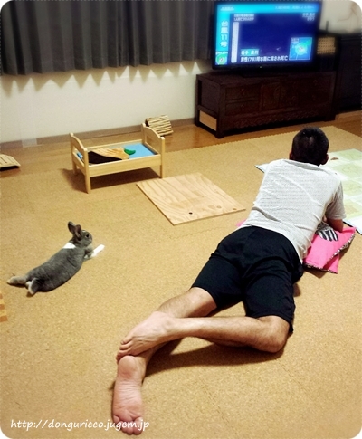 20140811-1.jpg