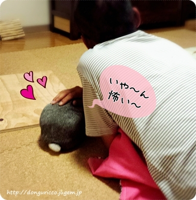 20140811-2.jpg