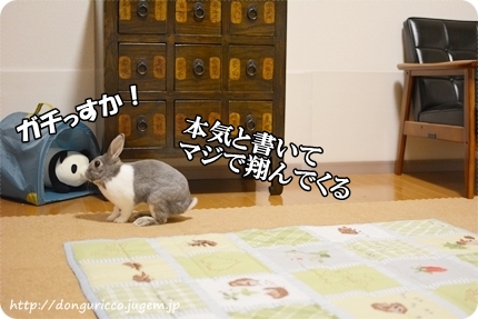 20140831-3.JPG