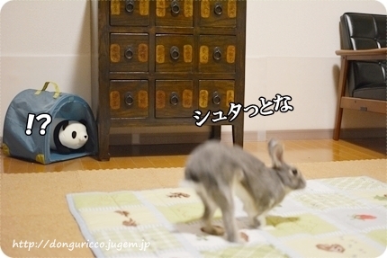 20140831-5.JPG