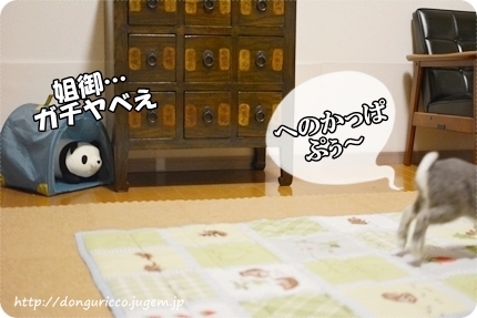 20140831-6.JPG
