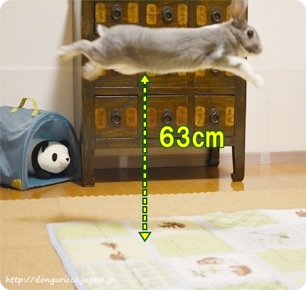 20140831-7.JPG