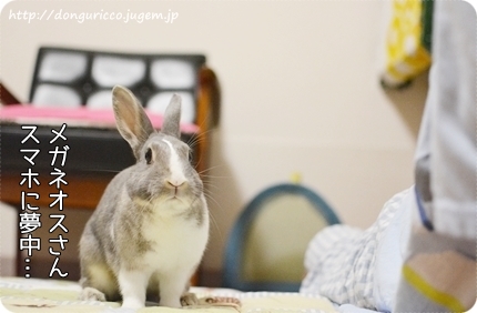 20140906-2.JPG