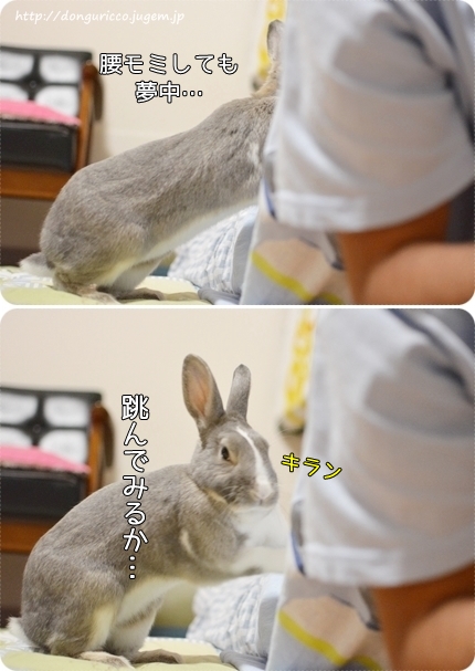 20140906-3.jpg
