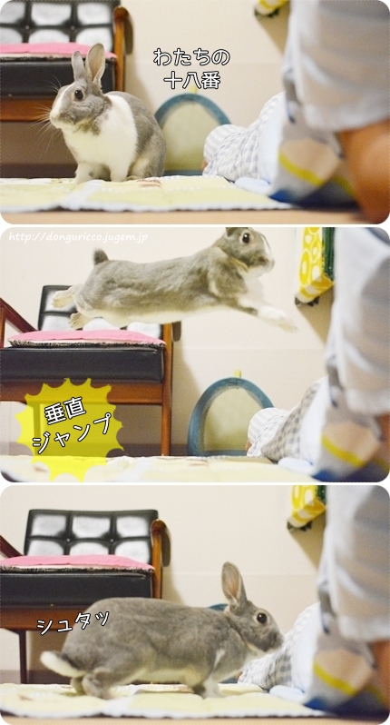 20140906-4.jpg