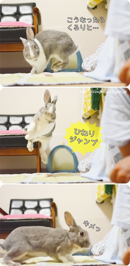20140906-6.jpg