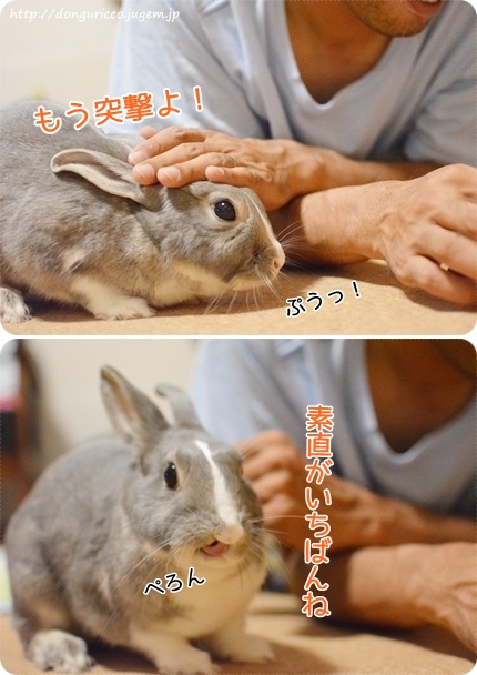 20140906-8.jpg