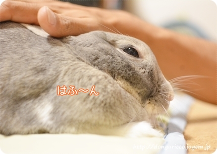 20140907-1.JPG