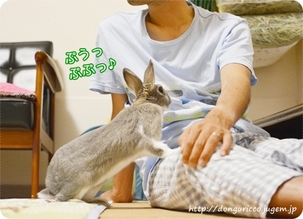 20140907-3.JPG