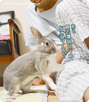 20140907-4.JPG