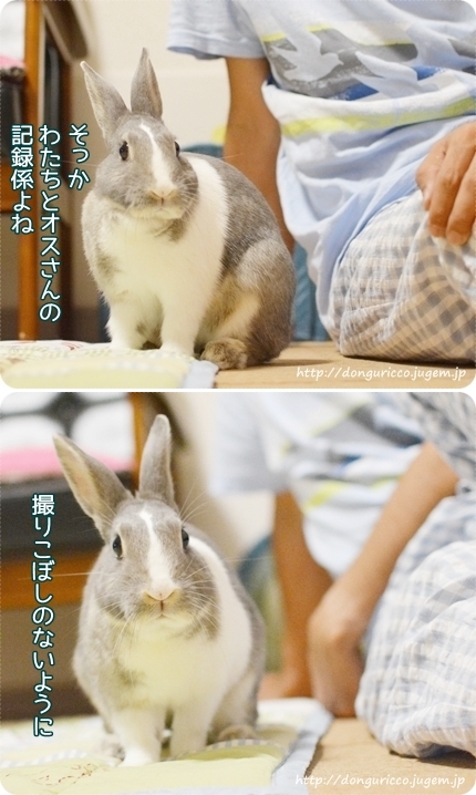 20140907-5.jpg