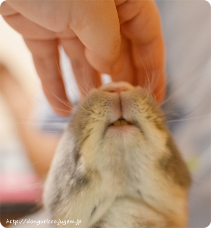 20140910-1.JPG