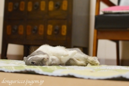20140913-3.JPG