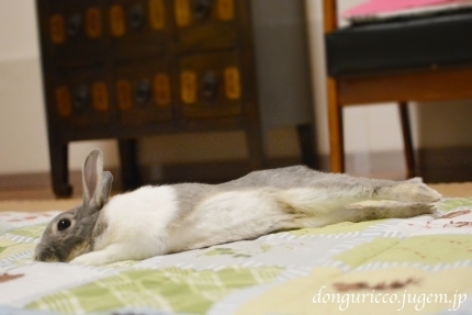 20140913-4.JPG