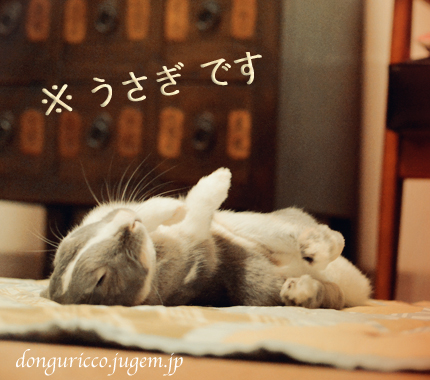 20140913-6.jpg