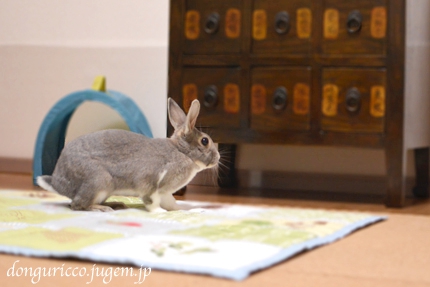 20140914-1.jpg