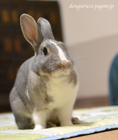 20140919.jpg