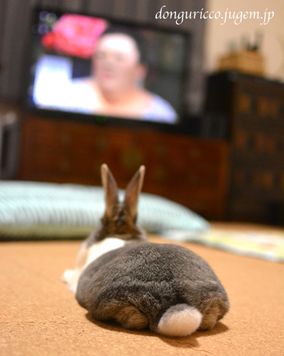 20140923.jpg