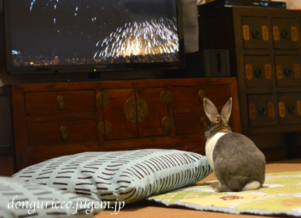 20140923-2.jpg
