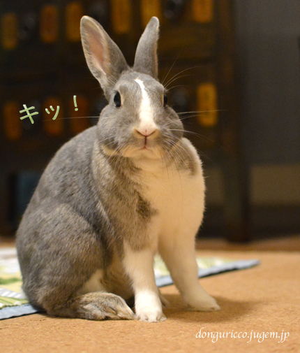 20140925-2.jpg