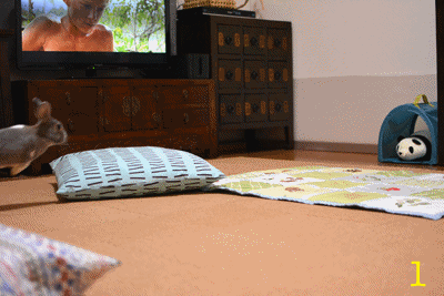 20140926-2.gif