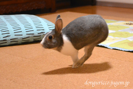 20140926-4.jpg