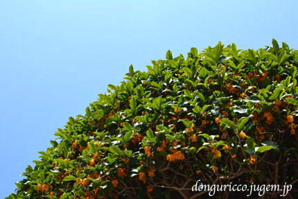 20140930-1.jpg