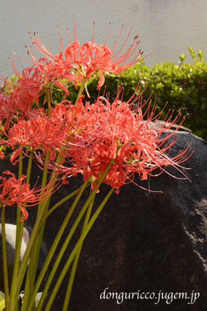 20140930-7.jpg