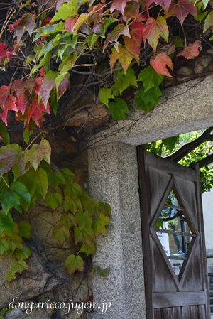 20140930-9.jpg