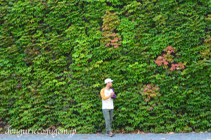 20140930-17.jpg