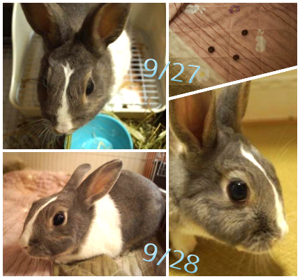 20141003-3.jpg