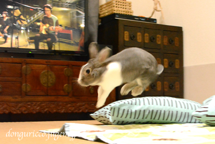 20141007-4.JPG