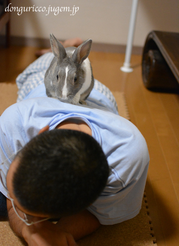 20141011-4.jpg