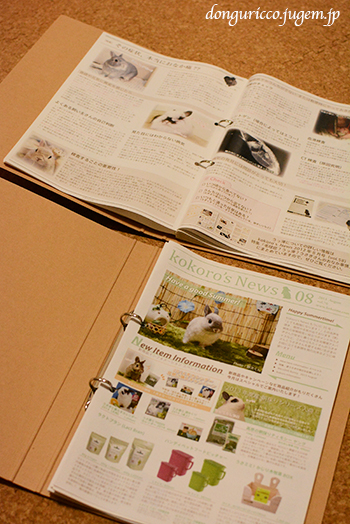 20141029-2.JPG