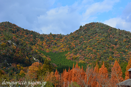 20141127-1.jpg