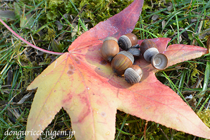 20141127-16.jpg