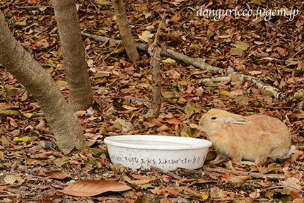 20141227-6.jpg