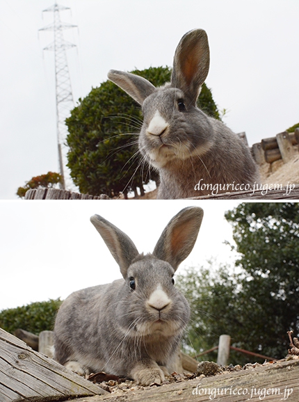20141227-14.jpg