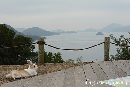20141227-15.jpg