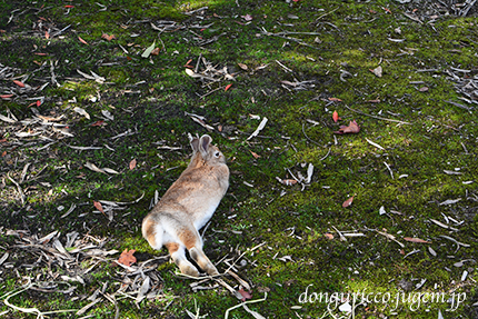 20141230-8.jpg