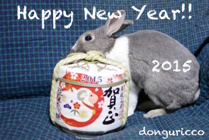 20150112-1.JPG
