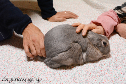 20150117-2.JPG