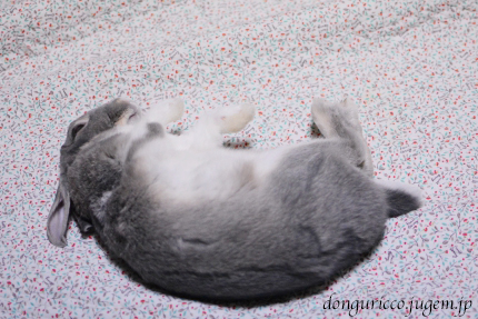 20150117-9.JPG