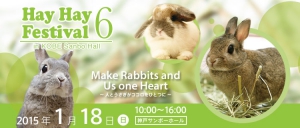 Hayfes6br.jpg
